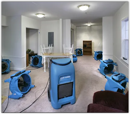 Emergency Water Damage Services in Dighton, MA